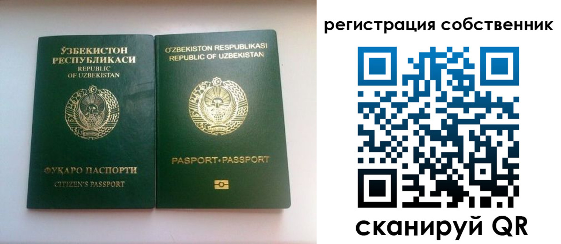 регистрация для школы в Новороссийске
